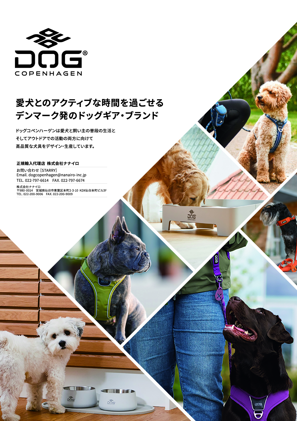 dog copenhagenカタログ