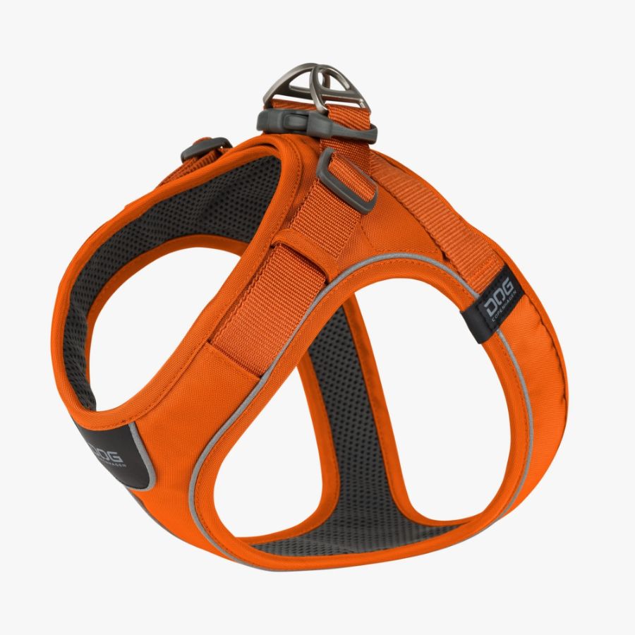 Comfort Walk Go Harness