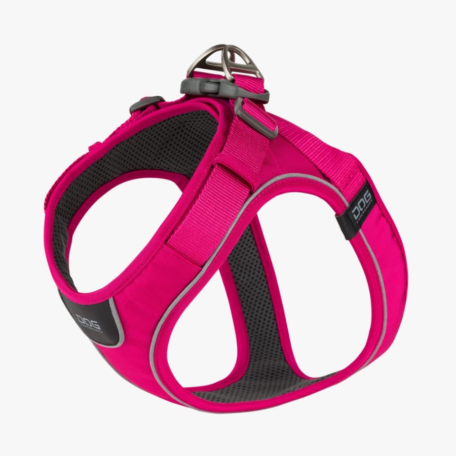 Comfort Walk Go Harness