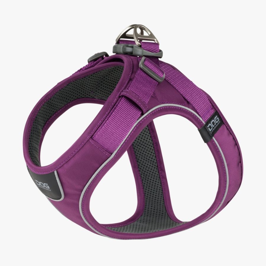 Comfort Walk Go Harness