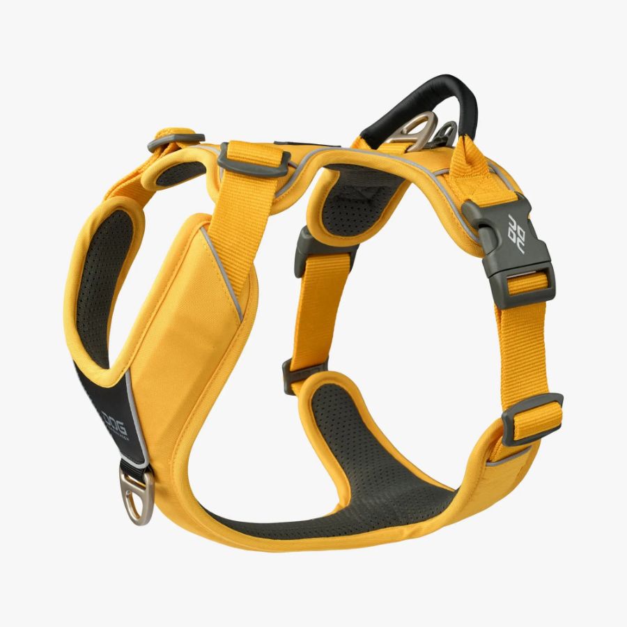 Comfort Walk Pro Harness