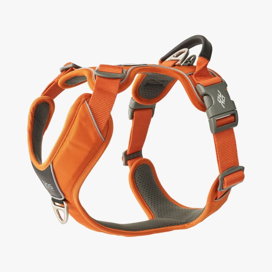 Comfort Walk Pro Harness