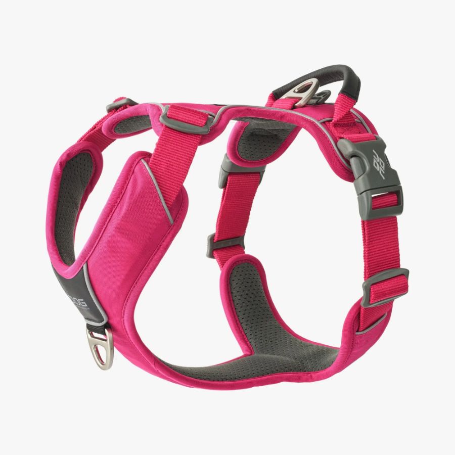 Comfort Walk Pro Harness