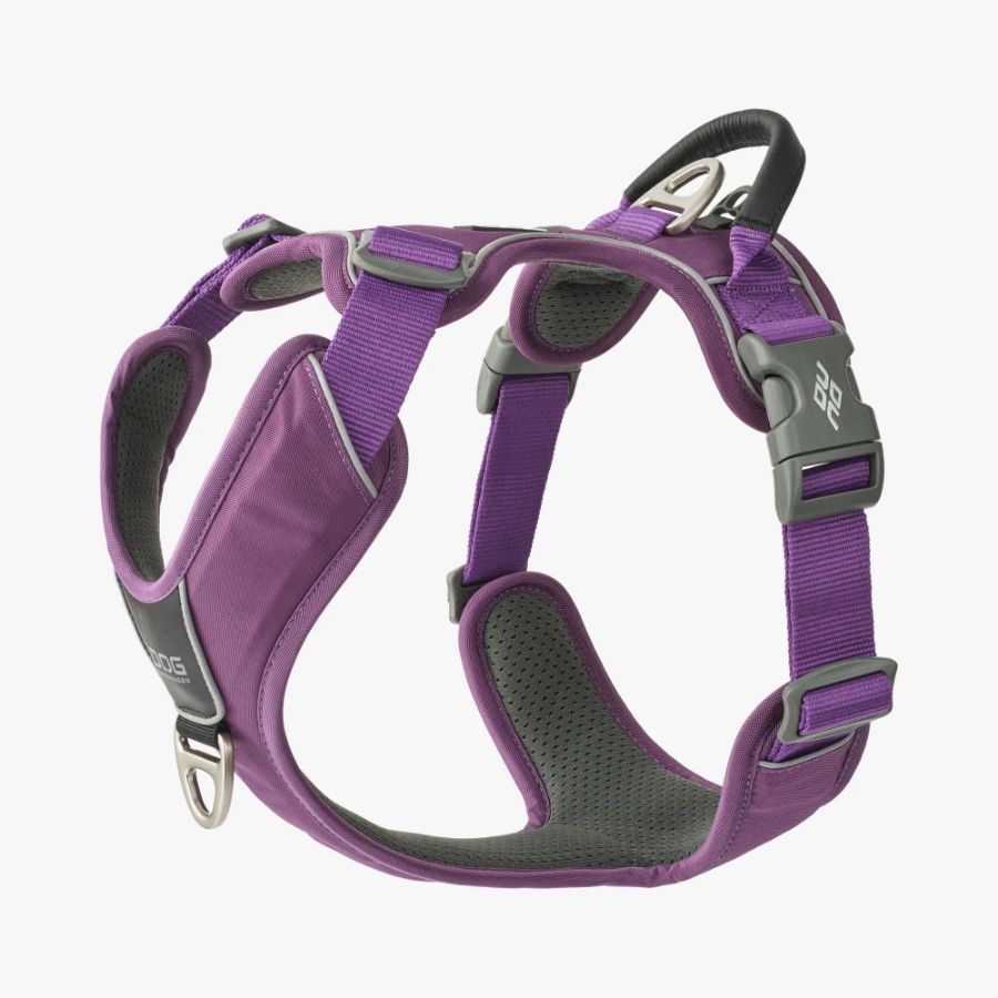 Comfort Walk Pro Harness