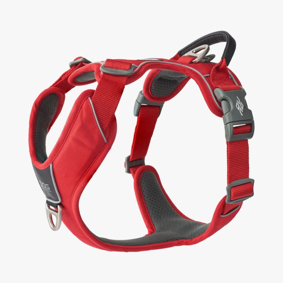 Comfort Walk Pro Harness