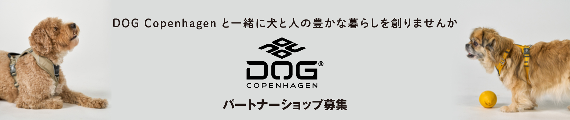 パートナーショップ募集