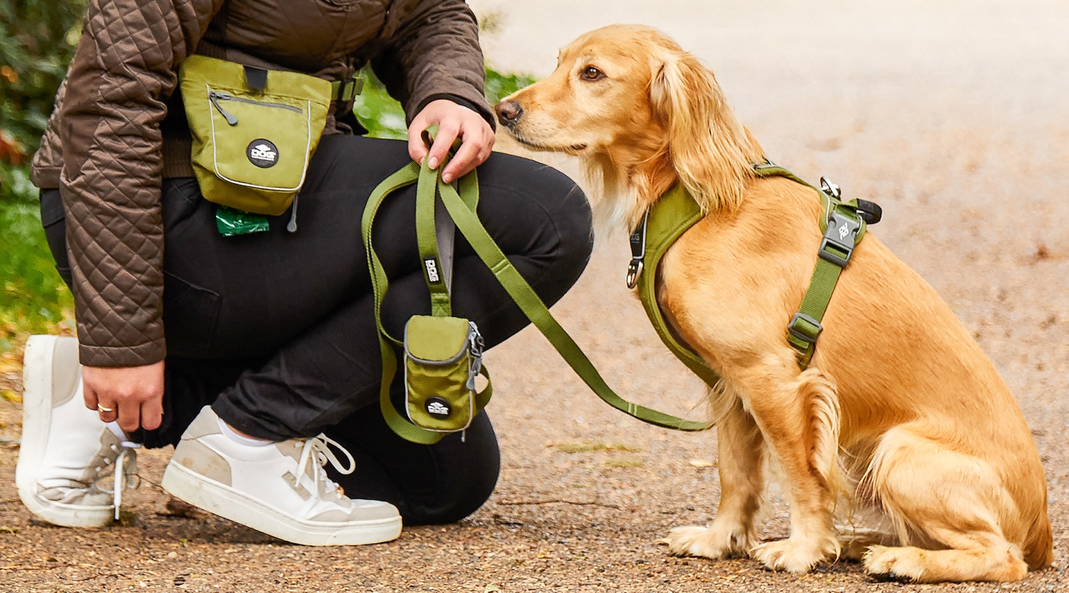ドッグコペンハーゲンのハーネスをつけた犬